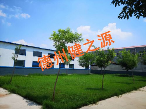 山东保健食品oem贴牌代加工厂